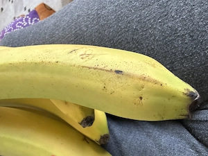 Jungfrau?? Unerfahren?? Neugierig??  Frau und Männer gesucht 