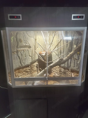 Wunderschönes Delta-Eck Terrarium+ Unterschrank