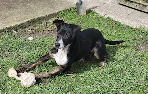 Wo ist mein Zuhause für immer? Kannst du es mir geben?