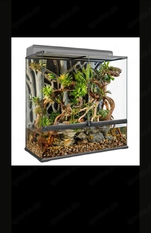 Suche Exo Terra 90 45 90