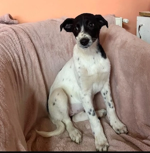 Pünktchen - jeder punkt zum verlieben!