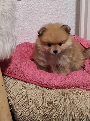 Hallo werkaufen eine kleine 