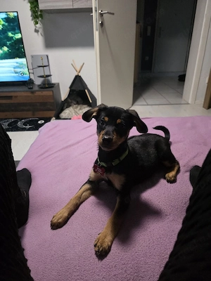 Mila die kleine Prinzessin 