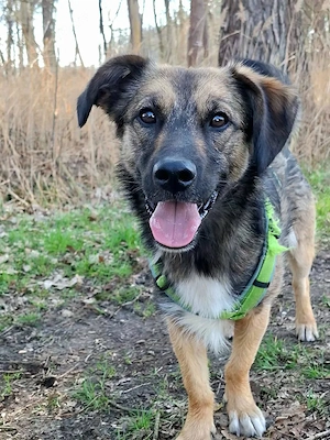 Pino - ist bereit die Welt zu entdecken