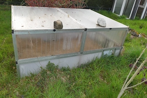 Großes Frühbeet für Landschildkröten abzugeben