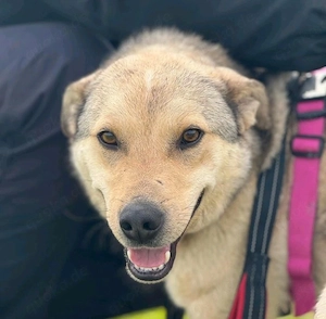 Bruno - Dein? bester Freund! 