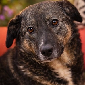 Cecy - wann darf sie endlich ankommen?