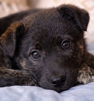 Winnie - klein aber fein! 