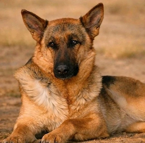 Tia - Zeit für ein neues Leben!