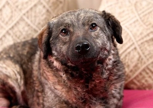 Any - freundliche Augen suchen Liebe!