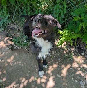 Kalle - sucht Menschen zum anlächeln!