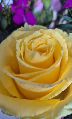 Einen frauen arsch zu lecken ist meine größte Leidenschaft 