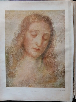 Buch Die Katholische Kirche in heutiger Zeit.