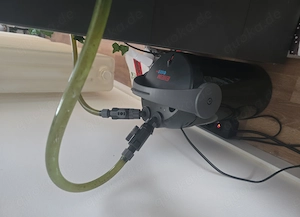 Rotbuchspitzkopfschildkröte mit Aquarium mit Inhalt  Bild 3