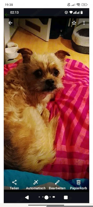 Alter Herr sucht Zuhause ohne Kinder 