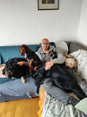 Kleine Hütehund Mix Hündin 3j43cm15kg KINDERLIEB bundesweit ausreisebereit  Bild 7