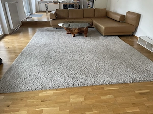 Bis 25.04.!!! Hochflorteppich, Teppich 3x4 m