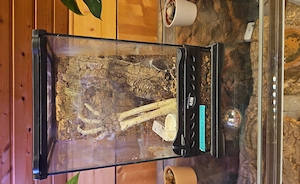 Terrarium 20x20x30 cm mit Korkrückwand