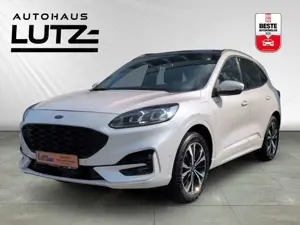 Ford Kuga Plug-In Hybrid ST-Line X ACC City Stop HUD Panodac