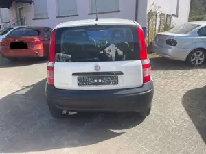 Fiat Panda 1.1 8V ACTIVE Bild 5