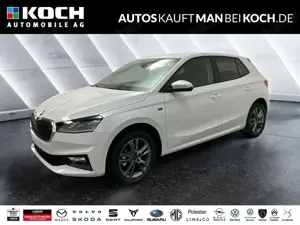 Skoda Fabia 1.0 TSI DSG Tour LED AHZV NAVI 50-L-TANK