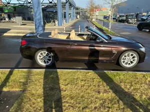 BMW 425 425d Cabrio Sport-Aut. Luxury Line Bild 5