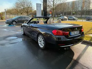 BMW 425 425d Cabrio Sport-Aut. Luxury Line Bild 3