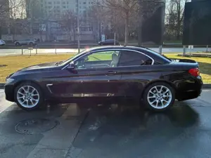 BMW 425 425d Cabrio Sport-Aut. Luxury Line Bild 2