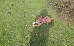 Zauberhafte kleine Marla Bild 3