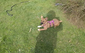 Zauberhafte kleine Marla Bild 4
