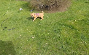 Zauberhafte kleine Marla Bild 5