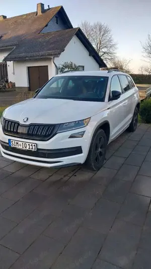 Skoda Kodiaq Kodiaq 2.0 TDI 4x4 DSG Sportline