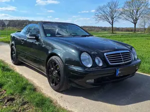 Mercedes-Benz CLK 430 CLK-Klasse V8 Cabrio Unikat Designo Gruen, Gas möglich