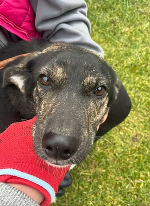  Hübsch - Hübscher - wunderhübsche TESSA