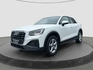 Audi Q2 1.0 TFSI 30 TFSI basis Leder*ACC*LED*PDC
