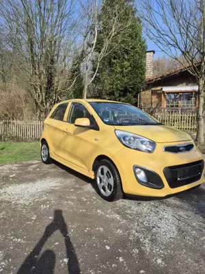 Kia Picanto 1.0 Vision