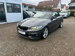 BMW 220 2er Cabrio 220 d M Sport / Automatik