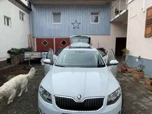 Skoda Octavia Combi 2.0 TDI (Green tec) Style