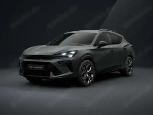 CUPRA Formentor 2.0 TSI 4Drive DSG MATT AHK Edge-Pkt SHZ ACC LED
