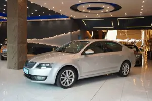 Skoda Octavia Lim. Joy 1.Hand+Standheizung+BiXenon+PDC