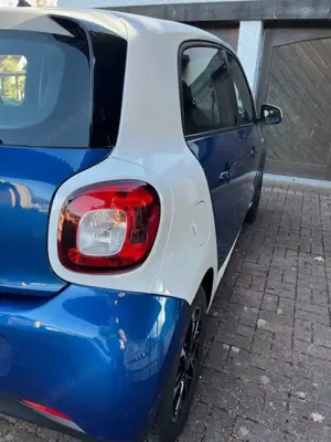 smart forFour smart forfour twinamic passion