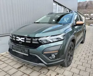 Dacia Sandero Stepway Extreme Kamera Bild 2