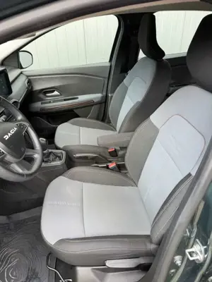 Dacia Sandero Stepway Extreme Kamera Bild 3