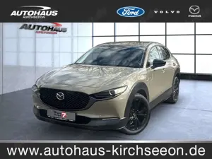 Mazda CX-30 2.5 e-SKYACTIV-G Nagisa 2WD Automatik Navi