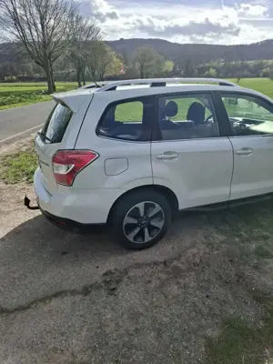 Subaru Forester Active