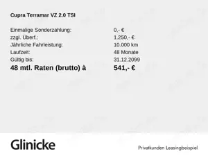 CUPRA Terramar 2.0 TSI DSG VZ 4Drive Akebono Pano Bild 2