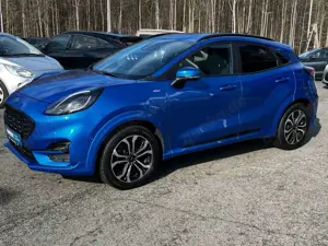 Ford Puma Hybrid ST-Line Autom, AHK, GJR, iACC, RFK Bild 3