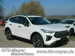 GWM Others HAVAL Jolion Pro Premium