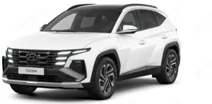 Hyundai TUCSON N Line 1.6 T-GDI Kamera/Navi/PDC/LED/ACC