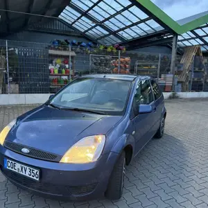 Ford Fiesta Ambiente